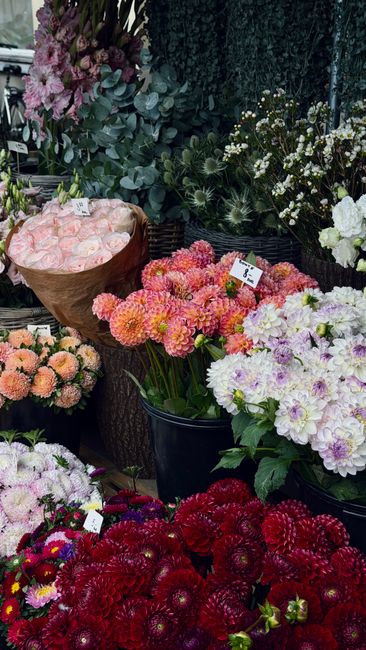 A vibrant display of fresh flowers at a florist shop, featuring a variety of flower types and colors. Prominent are pink and peach dahlias with large, ruffled petals, grouped in a black plastic pot. S